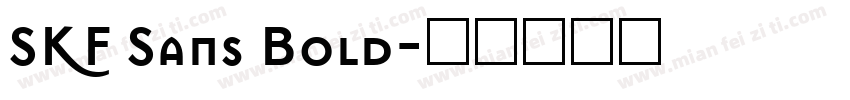 SKF Sans Bold字体转换